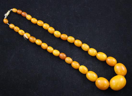 A single strand graduated oval amber bead necklace, 15in.